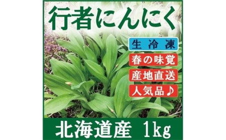 北海道岩見沢市産 令和8年度産 行者にんにく葉(冷凍) 1kg【09118】[a107-033]