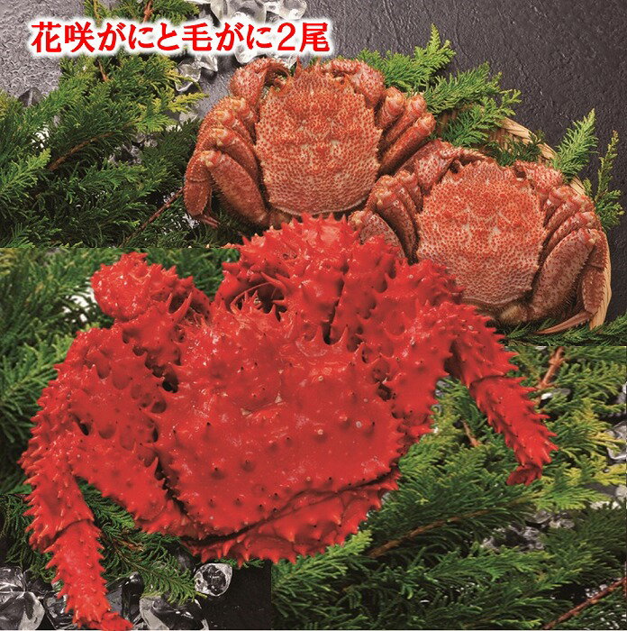 【ふるさと納税】[北海道根室産]花咲がにと毛がに2尾 D-01017