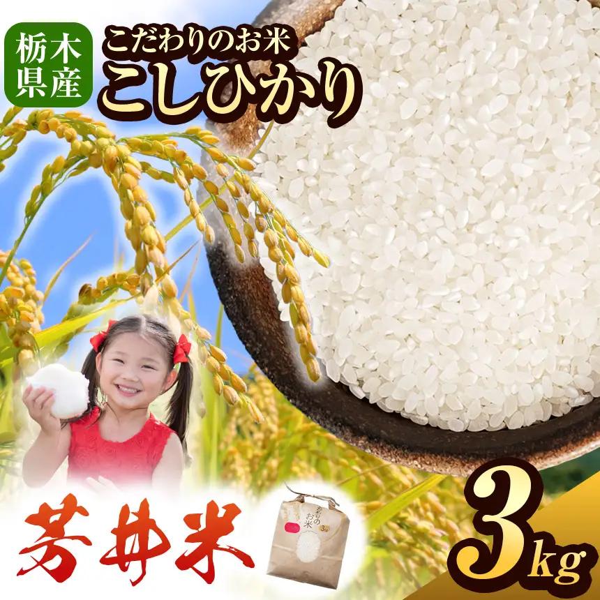 令和8年度産 新米 那珂川町産芳井米 3kg | お米 精米 美味しい 白米 とちぎ 玄米 共通返礼品 送料無料 那珂川町 栃木県
