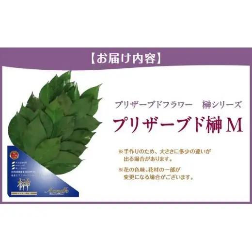 プリザーブド 榊 Mサイズ（1対 2束）プリザーブドフラワー