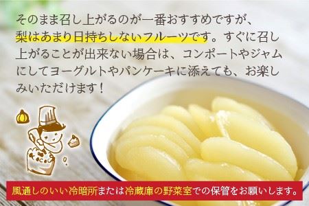 【先行予約】 木下農園のみくに梨 「新興梨」5kg（10～12玉）【2024年10月5日～10月20日発送予定】【A-12103】