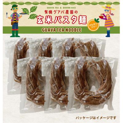 ふるさと納税 南国市 【毎月定期便】グアバ農園のグルテンフリーパスタ玄米麺　6食セット　全12回