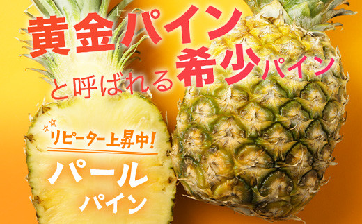 【先行予約】パールパイン1ｋｇ（1～2玉）お勧め♪川平パイン《2026年7月～8月頃順次発送》KN-2