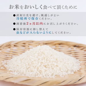 【 2026年8月発送 】 令和8年産 新米 米 コシヒカリ 10kg 【 コシヒカリ 】