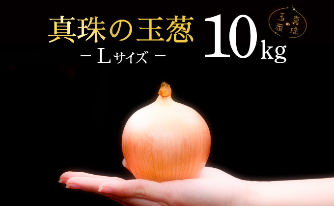 真珠の玉葱 Lサイズ10kg≪海のミネラルで育てた玉葱≫【50104】[a134-004]