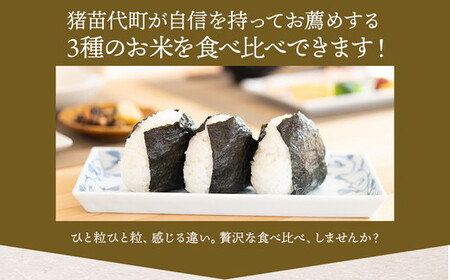新米　いなわしろブランド米3個セット( 精米 ) 各300g お米 白米 真空パック 食べ比べ 福島 和食