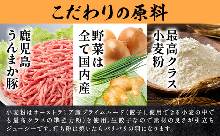 餃子 鹿児島 うんまか豚 生餃子 108個 《60日以内に出荷予定(土日祝除く)》薩摩 さつま 餃子 豚