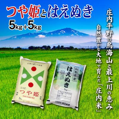 ふるさと納税 酒田市 山形県のお米の食べ比べ!【令和7年産】 山形県庄内米　つや姫5kgとはえぬき5kg　合計10kg