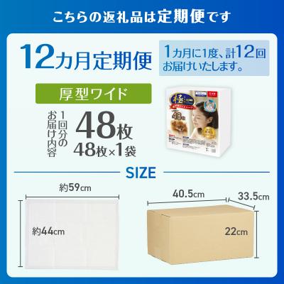 ふるさと納税 富士市 定期便【全12回】【極】シリーズ 犬用ペットシーツ 厚型ワイド 48枚 ペットシート 日本製 |  | 02
