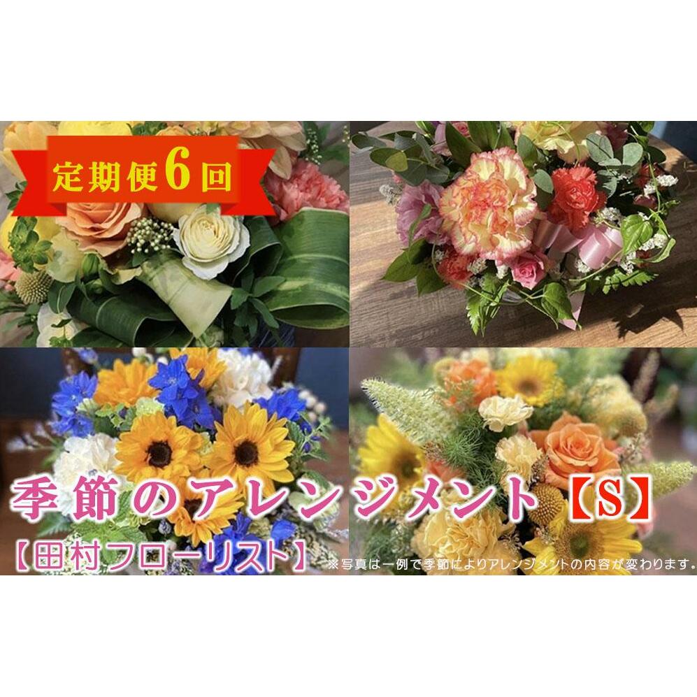 【ふるさと納税】 季節のフラワーアレンジメント Sサイズ 6回 定期便 6ヶ月 花 生花 フラワー ギフト プレゼント 贈り物 お祝い 記念日 誕生日 母の日 敬老の日 岩手県 盛岡市 東北 岩手 盛岡 有限会社田村フローリスト
