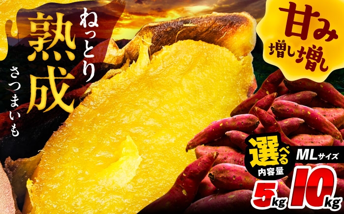 
                  ＼選べる内容量／ さつまいも / 焼き芋 焼きいも 紅はるか シルクスイート あまはづき 野菜 愛西市 / 川口農園 [AEDH001][AEDH002]
                