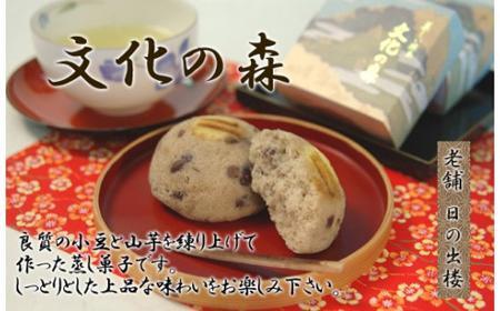 徳島銘菓　文化の森（ぶんかのもり）12個入