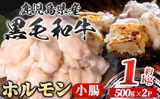 A01039 鹿児島県産黒毛和牛 ホルモン 小腸 (計約1kg・約500g×2P) 鹿児島 国産 九州産 黒毛和牛 牛肉 ホルモン 牛ホルモン 生ホルモン モツ 小腸  真空パック 個包装 小分け 冷凍 焼肉 もつ鍋 煮込み【新村畜産】