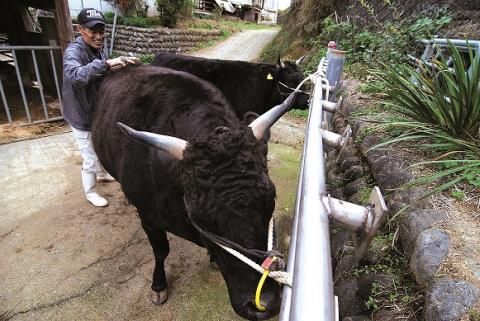 MC-03　特産松阪牛すき焼き用B