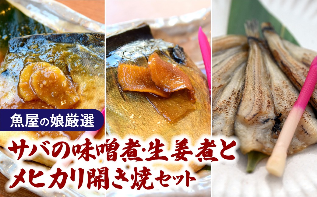 
                  【魚屋の娘厳選】サバの味噌煮・生姜煮とメヒカリ開き焼セット(湯煎で簡単) | サバ サバ味噌煮 サバ生姜煮 味噌煮 生姜煮 メヒカリ めひかり 目光 開き焼き 煮魚 焼き魚 食べ比べ 詰め合わせ セット 湯煎 簡単調理 温めるだけ 和食 魚料理 生姜 深海魚 いわき市 いわき名物 魚屋厳選 サスイチ小野水産 送料無料 冷凍 湯せん調理 手軽 | DM016
                