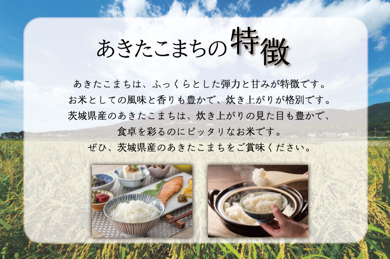 【数量限定】【9月下旬より順次発送】R8年産 あきたこまち 10kg(5kg×2袋)｜米 お米 白米 精米 R7年産 令和7年産 あきたこまち 茨城県 茨城県産 行方市(HA-12)