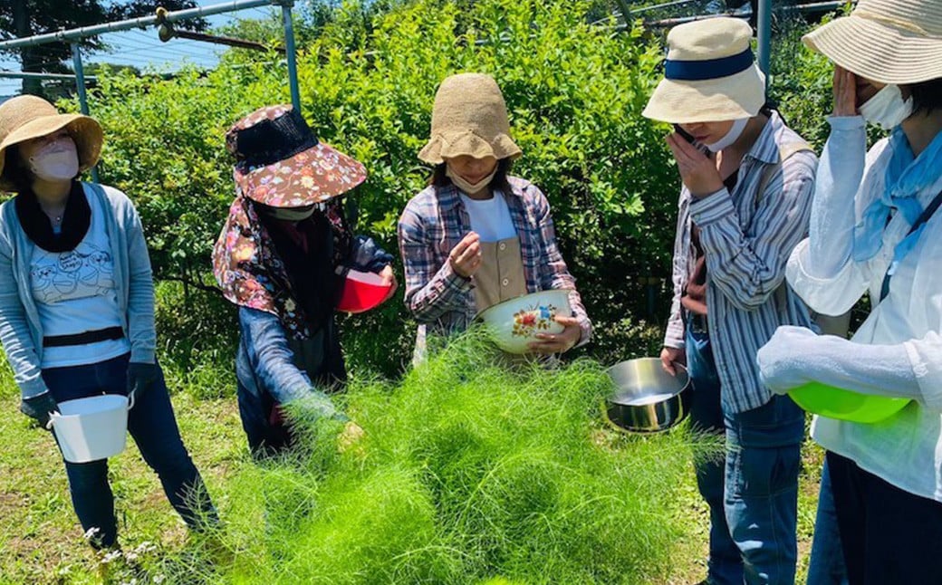 国産ハーブティー5種セット