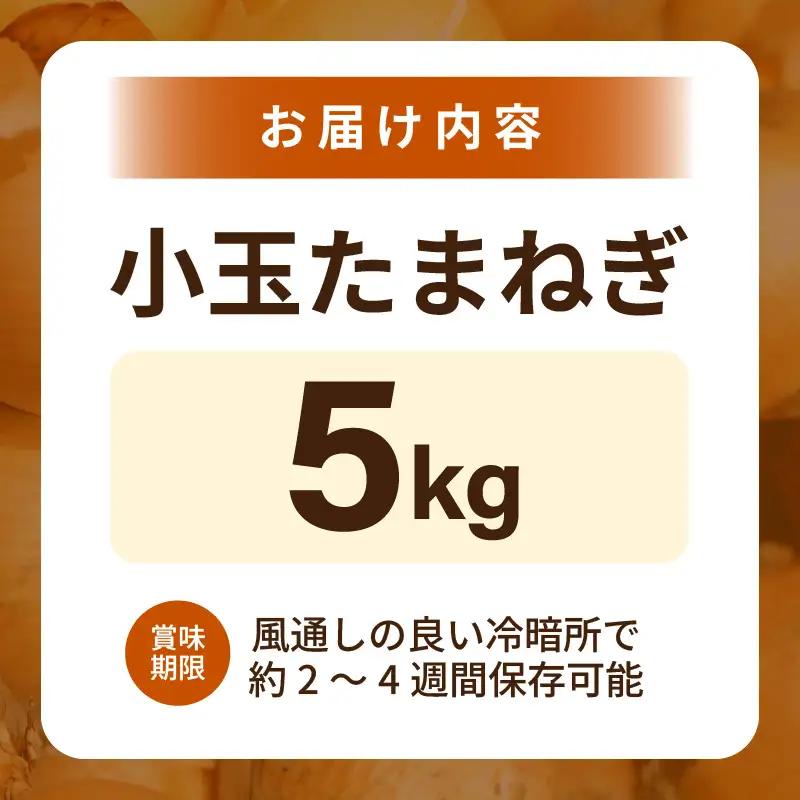 小玉 玉ねぎ 5kg たまねぎ 玉葱 産地直送 [A-16521]