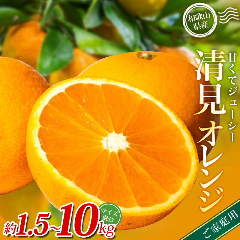 【ふるさと納税】 【ご家庭用】森本農園の手選別 清見オレンジ 約 1.5kg 4.5kg 6kg 8kg 10kg サイズ混合【2026年2月上旬～5月中旬頃に順次発送】 オレンジ 柑橘 フルーツ 果物 くだもの 旬 産地直送 6000円 10000円 12000円 15000円 17000円 送料無料 和歌山県