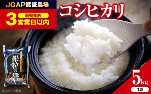 【スピード発送】こしひかり 5kg コシヒカリ こしひかり 米 5kg 5キロ お米 こめ おこめ コメ 白米 令和7年産 令和7年度米 ごはん ご飯 精米 お歳暮 お中元 定期便 送料無料 泉水の米 お米 R7年米 精米 kome 食卓 主食 食事 料理 自炊 お弁当 おむすび 朝食 粘り おいしい 国産 広島県産 三次市 / アグリ君田 [APDC001]