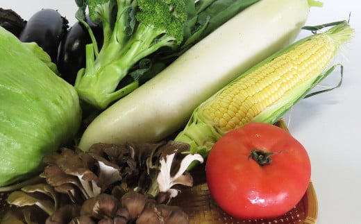 フレッシュな岩手の野菜