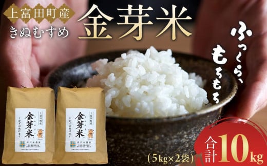 
            令和7年産  上富田町産 金芽米 きぬむすめ 10kg （ 5kg × 2 ) 井戸本農園
          