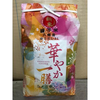 ふるさと納税 石岡市 【令和7年産】獅子米 ゆうだい21 精米 5kg