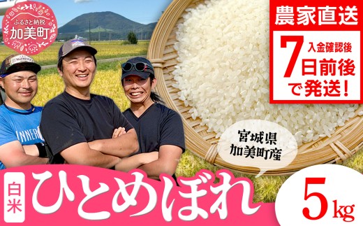 【精米】【5kg】 米 宮城県産 ひとめぼれ 《 令和7年産 新米 》 ブランド米 白米 精米 ご飯 ごはん コメ こめ お米 小分け 家庭用 結心ファーム [ 宮城県 加美町 ]  | yu-hb05-r7