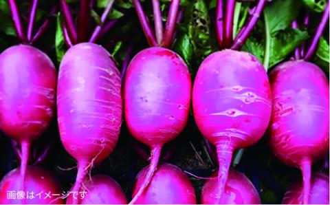 朝採れ！【栽培期間中 農薬・化学肥料不使用】プレミアムサラダ用糸島野菜セット《糸島》【オーガニックナガミツファーム】 [AGE002]