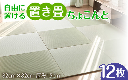 【佐賀県産い草】フローリング置き畳「ちょこんと」12枚セット / 天然い草 天然素材 フロア畳 琉球畳 畳表 フロアマット ごろ寝マット フローリング用 和室 / 佐賀県 / 株式会社WT（青畳工房）[41AAAX007]