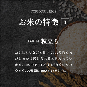 【真空パック】令和7年産 新米 鳥取県産きぬむすめ 米 キヌムスメ 5kg 返礼品 米 お米 おこめ こめ 真空パック包装 備蓄 防災 長期保存 単一原料米 ローリングストック 鳥取県日野町