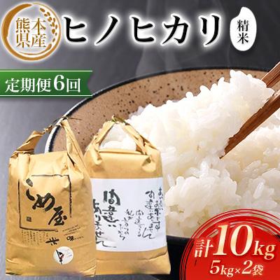 ふるさと納税 玉名市 【毎月定期便】熊本県産ヒノヒカリ(精米) 5kg×2個全6回