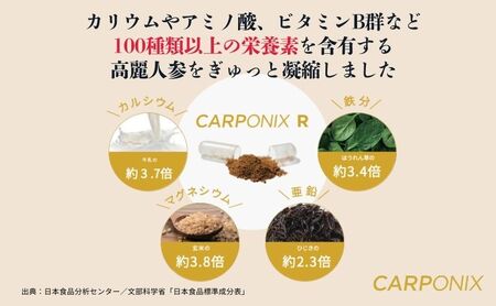 黒高麗人参「CARPONIX」60粒入り×1袋 【定期便 12ヶ月】 サプリメント サプリ 黒高麗人参 カプセル ジンセノサイド 千葉市