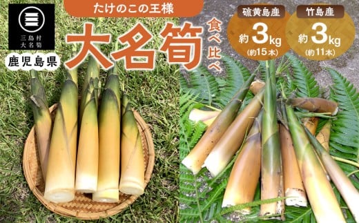 
            【2026年お届け】大名筍3kg（硫黄島産）＆大名筍3kg（竹島産）の食べ比べセット
          