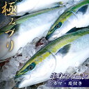 【ふるさと納税】 ぶり ブランド 鰤 極みブリ ブリ しゃぶ 切り身 高知県須崎市 須崎市 鰤 ( ふるさと納税 ランキング キャンペーン やり方 限度額 仕組み シミュレーション ) KS0311