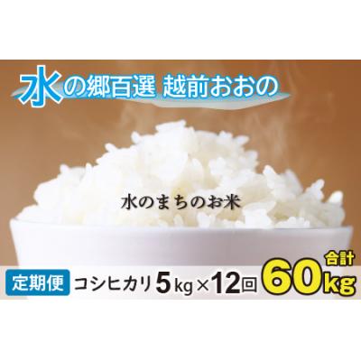 ふるさと納税 大野市 【令和7年産】【12ヶ月定期便】こしひかり 5kg×12回 計60kg【白米】「エコファーマー米」