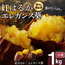 【ふるさと納税】焼き芋 蜜たっぷり！冷やし焼き芋 ひえひえ君 食べ比べ 1kg エレガンス葵＆紅はるか 芋スイーツ