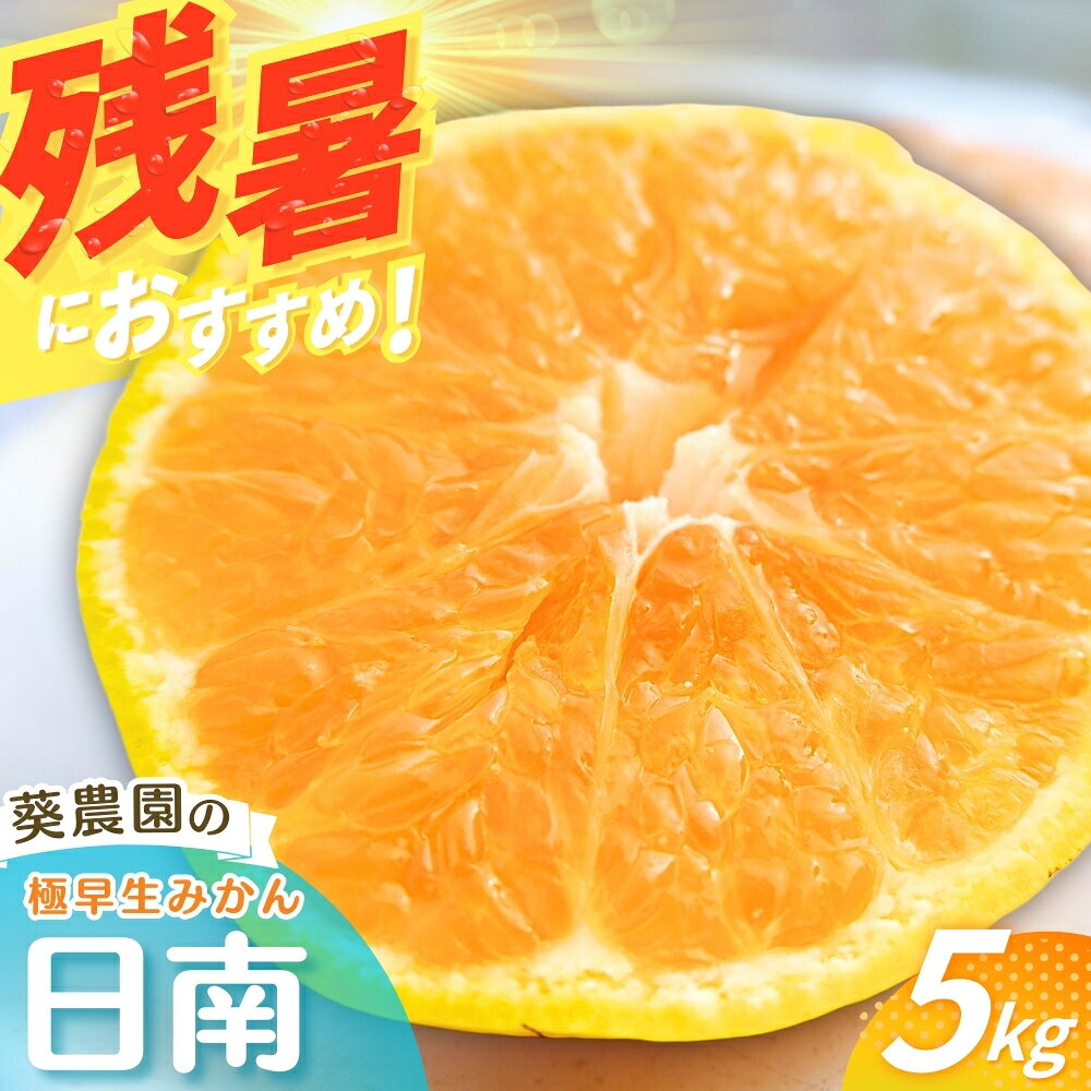 【ふるさと納税】【先行予約】 【秀品】 極早生みかん 日南 5kg（S～Lサイズ混合） ※2026年10月より順次発送 / みかん ミカン 蜜柑 和歌山 早生 極早生 日南 温州 田辺市 紀州 くだもの 柑橘 フルーツ