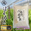 【ふるさと納税】《定期便》山形県高畠産はえぬき4kg（2kg×2）3回 F20B-503