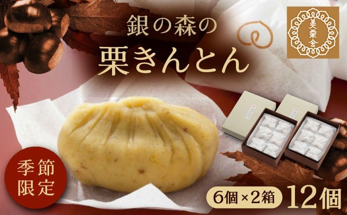 
            美栗舎の栗きんとん 計12個（6個×2箱）/ 栗きんとん くりきんとん 和菓子 栗菓子 栗 くり クリ スイーツ 和スイーツ 秋 限定 銘菓 名物 名産 名産品 特産品 老舗 高級 伝統の味 専門店 おかし 贈答用 季節限定 ご当地 ご褒美 お茶請け お茶菓子 手土産 お土産 お取り寄せ 贈答 ギフト 岐阜県 / 恵那市 / 銀の森 [AUBG028]
          