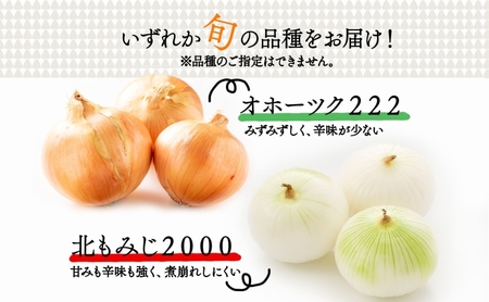 北海道 新しのつ産 玉ねぎ Lサイズ 約5kg オホーツク222 北もみじ2000 玉葱 たまねぎ オニオン 旬 スープ サラダ 農作物 野菜 冬野菜 根菜 常温 カレー 肉じゃが 大きい 5キロ 国