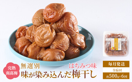 無選別 和歌山の完熟南高梅 味が染み込んだ梅干し はちみつ味 500g 塩分10％ [定期便 毎月発送・全6回]