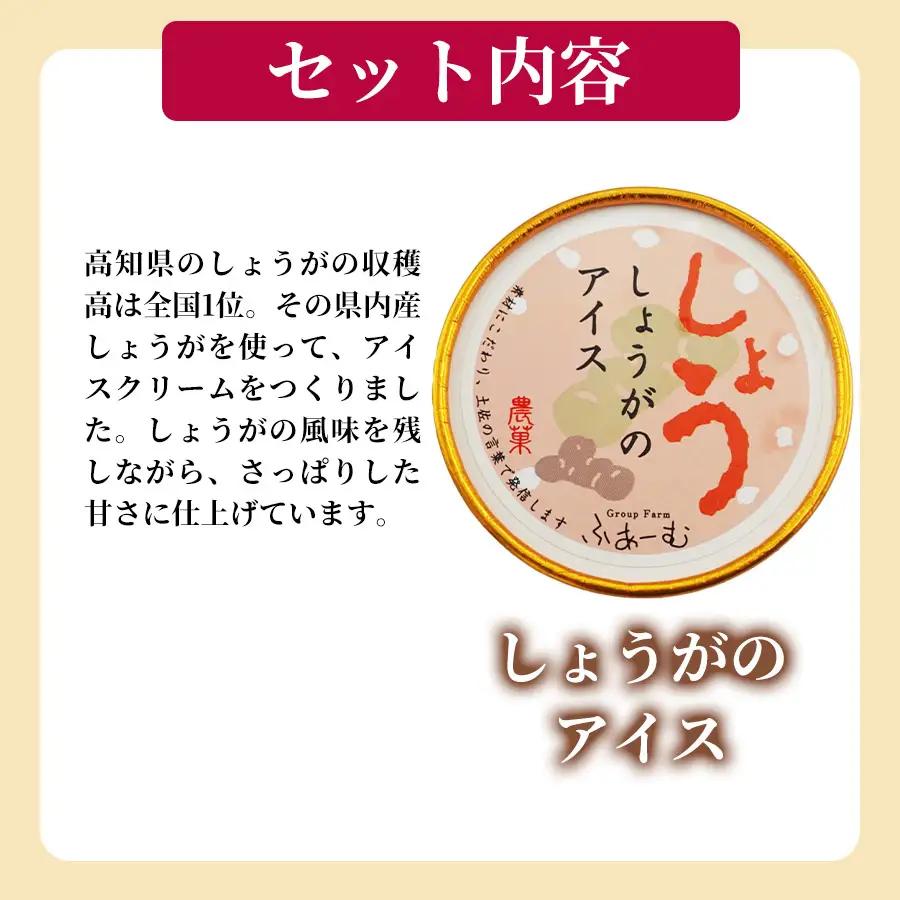 【アイス】 しょうがのアイス 100ml × 10個 アイス アイスクリーム