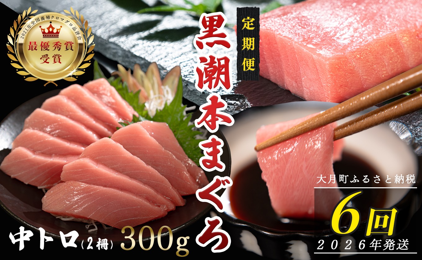 
            【定期便 6回】日本一!黒潮本まぐろ 中トロ2柵
          