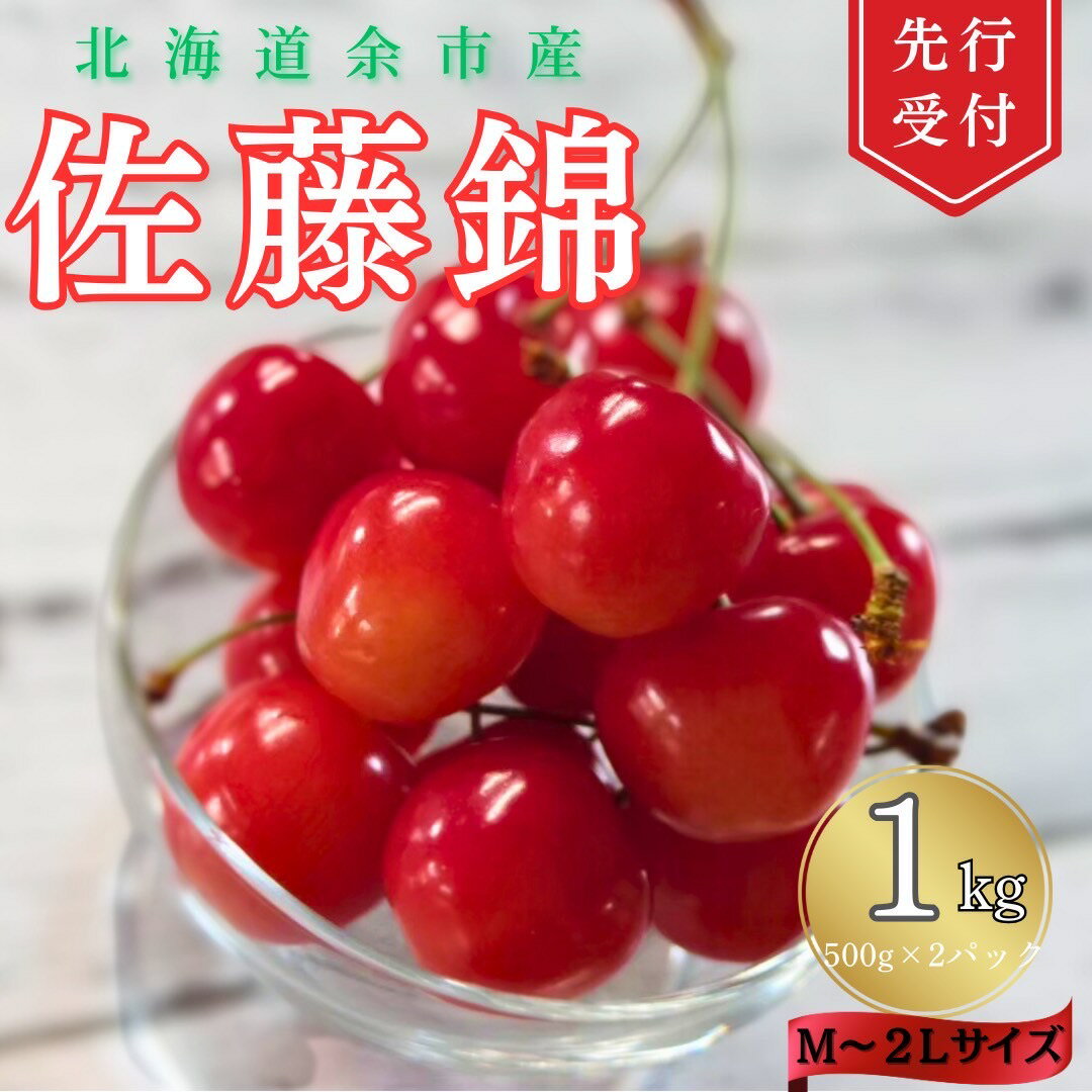 【ふるさと納税】【 先行予約 2025年6月下旬より発送 】 ＜ 北海道余市産 ＞ さくらんぼ「佐藤錦」 ( M ～ 2L サイズ バラ詰め) 500g × 2パック さくらんぼ フルーツ 果物 果実 北海道 北海道産 余市産 余市 余市町 送料無料