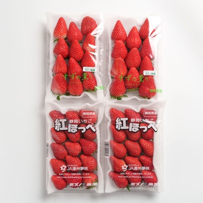 静岡県掛川市産　ミズノ農園の完熟いちご「紅ほっぺ」「すずの薫り」2種各2パック食べ比べセット【配送不可地域：離島・北海道・沖縄県・東北・中国・四国・九州】
