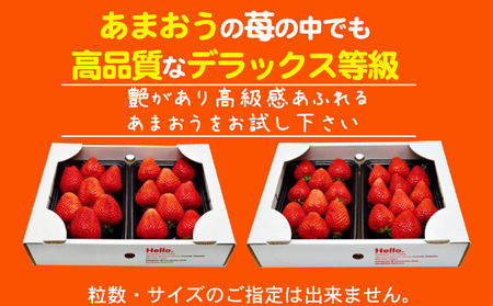 あまおう DX等級のみ 約1.04kg 約260g×4パック あまおう 果物