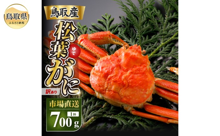 
                  【2026年12月発送】特撰　松葉がに（茹）【訳あり】700g超の大きいサイズ　食べ応えあり　特大1杯【期間限定】_T2600611 
                