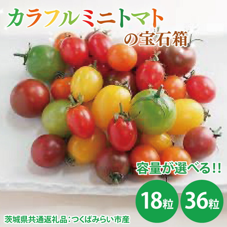 【ふるさと納税】【先行予約】【選べる】カラフルミニトマトの宝石箱 18粒 36粒（茨城県共通返礼品：つくばみらい市産）※2026年1月上旬～3月下旬頃に順次発送予定（CD092）