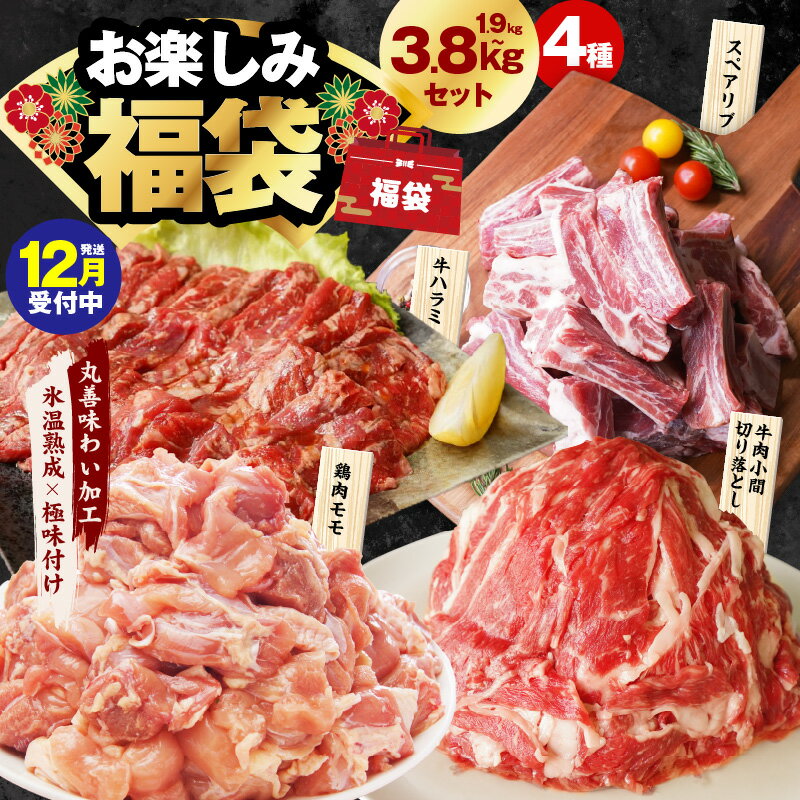 【ふるさと納税】お楽しみ福袋 4種 1.9kg / 3.8kg 切り落とし 牛ハラミ スペアリブ 鶏肉 小間切り落とし 骨付き 厚切り 国産豚 鶏もも肉 氷温熟成牛 牛肉 氷温熟成豚 極味付け 豚肉 熟成肉 氷温熟成 作り方 ふるさと納税オリジナル 限定 送料無料 肉の泉佐野 年内発送